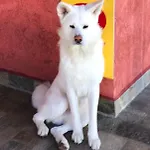 виктория